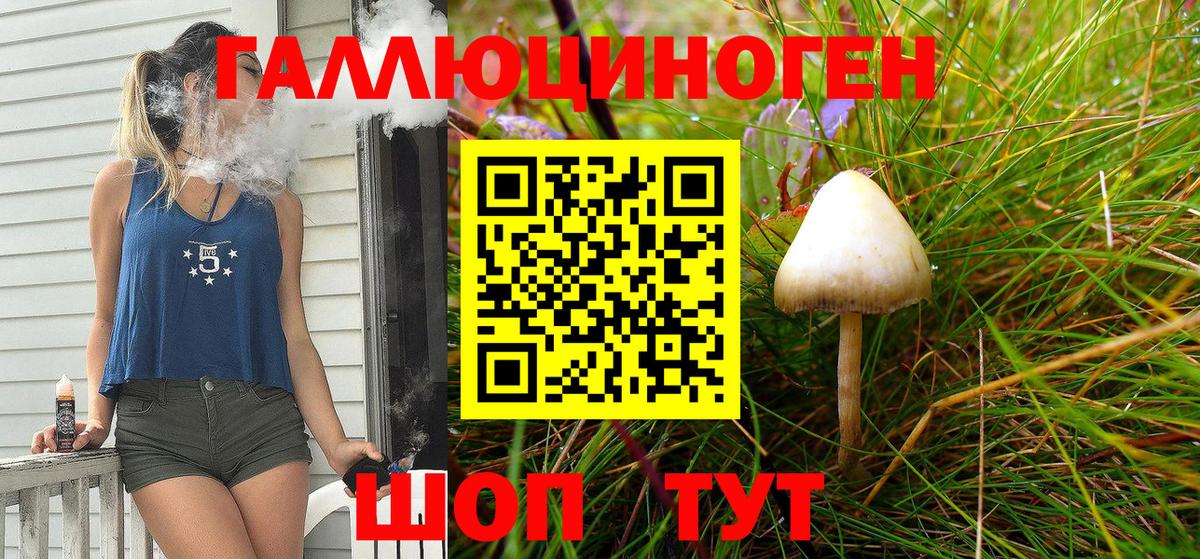 Кузнецк  Псилоцибиновые грибы мухоморы  Галлюциногенные грибы Psilocybe  Вход с VPN 